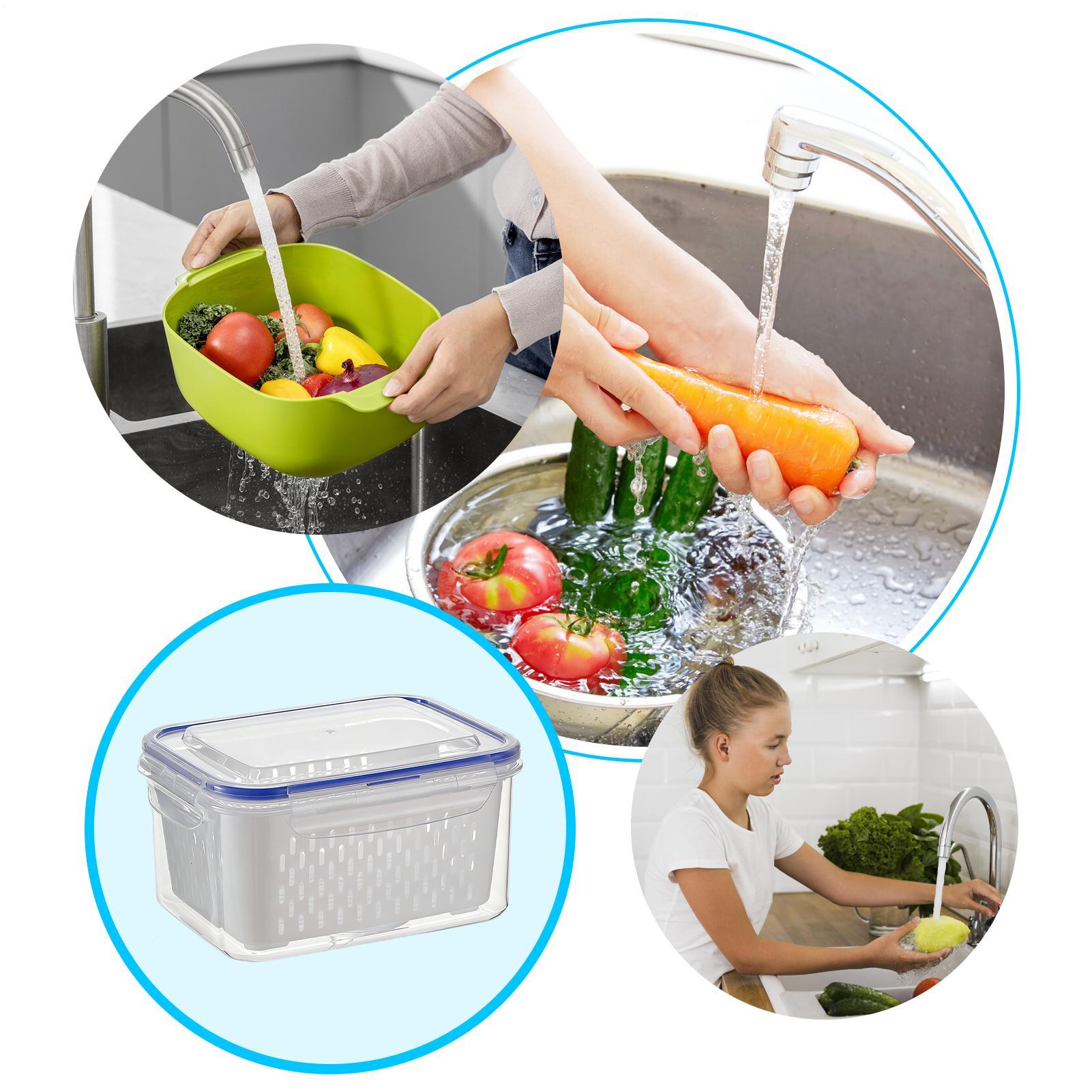 Contenedor de Almacenamiento d - Food Storage Refrigerator reseña y precio