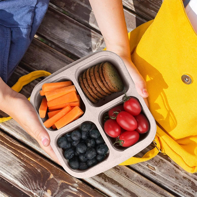 Caja de almacenamiento de alim - Food Storage Refrigerator reseña y precio