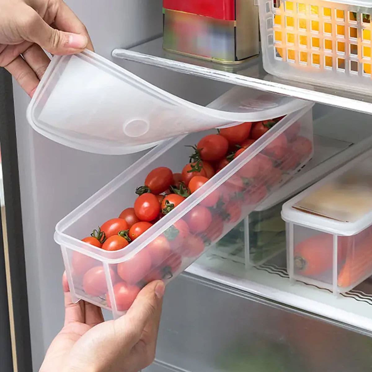 1 Caja de Almacenamiento Trans - Food Storage Refrigerator reseña y precio