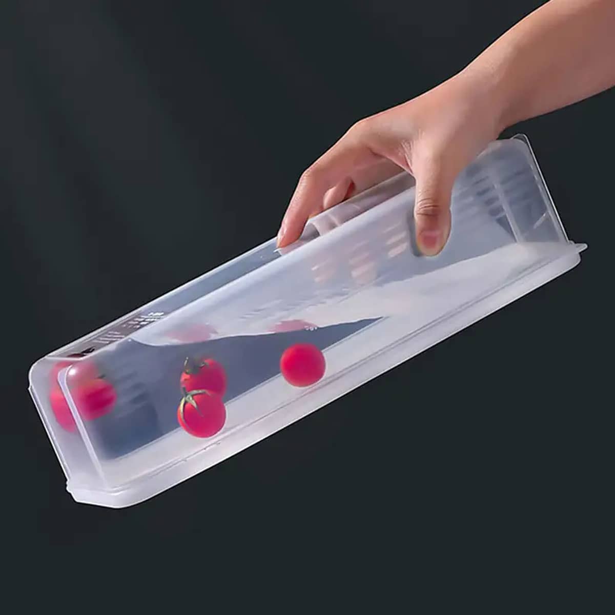 1 Caja de Almacenamiento Trans - Food Storage Refrigerator reseña y precio